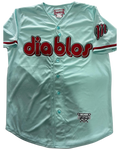 JERSEY DE DIABLOS REYSPORTS